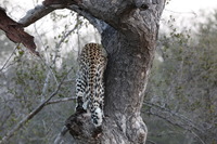 Canon EOS 5D Mark II, 2017:05:25 17:12:43 -- 1/100 sec, f/8.0.  No Flash, Compulsory.5616x3744 