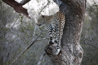 Canon EOS 5D Mark II, 2017:05:25 17:13:54 -- 1/160 sec, f/5.6.  No Flash, Compulsory.5616x3744 