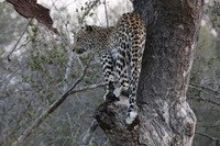 Canon EOS 5D Mark II, 2017:05:25 17:13:58 -- 1/50 sec, f/11.0.  No Flash, Compulsory.5616x3744 