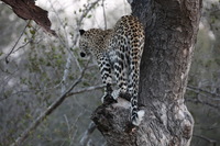 Canon EOS 5D Mark II, 2017:05:25 17:14:00 -- 1/125 sec, f/7.1.  No Flash, Compulsory.5616x3744 