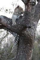 Canon EOS 5D Mark II, 2017:05:25 17:18:18 -- 1/40 sec, f/10.0.  No Flash, Compulsory.5616x3744 