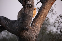 Canon EOS 5D Mark II, 2017:05:25 17:27:33 -- 1/50 sec, f/5.6.  No Flash, Compulsory.5616x3744 