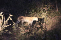 Canon EOS 5D Mark II, 2017:05:25 17:37:31 -- 1/20 sec, f/5.6.  No Flash, Compulsory.5616x3744 