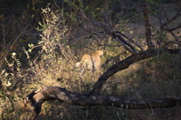 Canon EOS 5D Mark II, 2017:05:25 17:37:42 -- 1/10 sec, f/5.6.  No Flash, Compulsory.5616x3744 