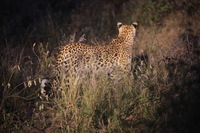 Canon EOS 5D Mark II, 2017:05:25 17:38:06 -- 1/25 sec, f/5.6.  No Flash, Compulsory.5616x3744 