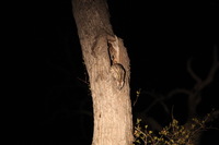 Canon EOS 5D Mark II, 2017:05:25 18:11:18 -- 1/6 sec, f/5.6.  No Flash, Compulsory.5616x3744 