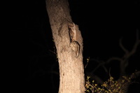 Canon EOS 5D Mark II, 2017:05:25 18:11:19 -- 1/6 sec, f/5.6.  No Flash, Compulsory.5616x3744 