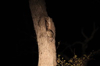 Canon EOS 5D Mark II, 2017:05:25 18:11:33 -- 1/8 sec, f/5.6.  No Flash, Compulsory.5616x3744 