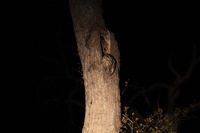 Canon EOS 5D Mark II, 2017:05:25 18:11:56 -- 1/6 sec, f/5.6.  No Flash, Compulsory.5616x3744 