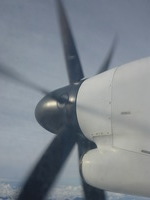 DMC-TS5, 2017:05:25 02:51:03 -- 1/1000 sec, f/4.5.  No Flash, Auto.4608x3456 0.00 EV.