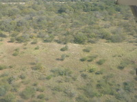 DMC-TS5, 2017:05:25 12:11:25 -- 1/250 sec, f/4.2.  No Flash, Auto.4608x3456 0.00 EV.