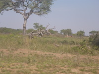 DMC-TS5, 2017:05:25 13:02:29 -- 1/125 sec, f/5.9.  No Flash, Auto.4608x3456 0.00 EV.