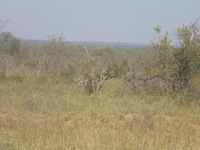 DMC-TS5, 2017:05:25 13:15:04 -- 1/125 sec, f/5.9.  No Flash, Auto.4608x3456 0.00 EV.