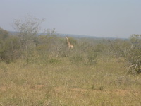 DMC-TS5, 2017:05:25 13:15:13 -- 1/400 sec, f/5.9.  No Flash, Auto.4608x3456 0.00 EV.