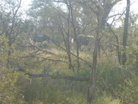 DMC-TS5, 2017:05:25 13:26:55 -- 1/125 sec, f/5.8.  No Flash, Auto.4608x3456 0.00 EV.