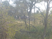 DMC-TS5, 2017:05:25 13:27:06 -- 1/125 sec, f/5.8.  No Flash, Auto.4608x3456 0.00 EV.