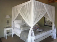 DMC-TS5, 2017:05:25 07:00:11 -- 1/60 sec, f/3.3.  Flash.Flash, Auto.4608x3456 0.00 EV.