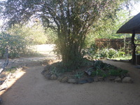 DMC-TS5, 2017:05:25 07:01:46 -- 1/125 sec, f/3.3.  No Flash, Auto.4608x3456 0.00 EV.