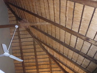 DMC-TS5, 2017:05:25 07:02:02 -- 1/60 sec, f/3.3.  Flash.Flash, Auto.4608x3456 0.00 EV.