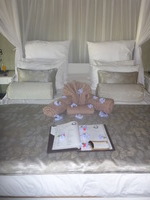 DMC-TS5, 2017:05:25 07:02:26 -- 1/60 sec, f/3.3.  Flash.Flash, Auto.4608x3456 0.00 EV.