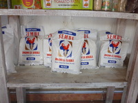 DMC-TS5, 2018:02:23 11:03:47 -- 1/60 sec, f/3.3.  Flash.Flash, Auto.4608x3456 