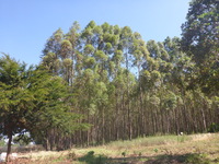 DMC-TS5, 2018:02:24 10:06:00 -- 1/320 sec, f/3.3.  No Flash, Auto.4608x3456 