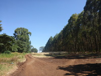 DMC-TS5, 2018:02:24 10:06:26 -- 1/640 sec, f/3.3.  No Flash, Auto.4608x3456 