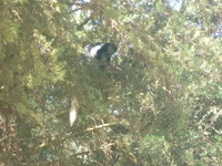 DMC-TS5, 2018:02:24 11:10:39 -- 1/60 sec, f/5.9.  No Flash, Auto.4608x3456 