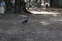 Canon EOS 5D Mark II, 2018:02:25 08:12:07 -- 1/125 sec, f/8.0.  No Flash, Compulsory.4080x2720 