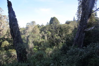 Canon EOS 5D Mark II, 2018:02:25 08:33:19 -- 1/50 sec, f/8.0.  No Flash, Compulsory.4080x2720 