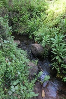 Canon EOS 5D Mark II, 2018:02:25 08:54:18 -- 1/40 sec, f/8.0.  No Flash, Compulsory.4080x2720 