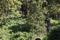 Canon EOS 5D Mark II, 2018:02:25 09:06:07 -- 1/80 sec, f/8.0.  No Flash, Compulsory.4080x2720 