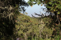 Canon EOS 5D Mark II, 2018:02:25 09:06:20 -- 1/200 sec, f/8.0.  No Flash, Compulsory.4080x2720 