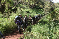 Canon EOS 5D Mark II, 2018:02:25 09:08:01 -- 1/50 sec, f/8.0.  No Flash, Compulsory.4080x2720 