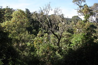 Canon EOS 5D Mark II, 2018:02:25 09:09:08 -- 1/80 sec, f/8.0.  No Flash, Compulsory.4080x2720 