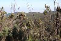 Canon EOS 5D Mark II, 2018:02:25 09:22:11 -- 1/200 sec, f/6.3.  No Flash, Compulsory.4080x2720 