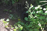 Canon EOS 5D Mark II, 2018:02:25 09:42:34 -- 1/125 sec, f/6.3.  No Flash, Compulsory.4080x2720 