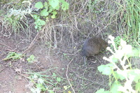 Canon EOS 5D Mark II, 2018:02:25 09:42:53 -- 1/60 sec, f/8.0.  No Flash, Compulsory.4080x2720 