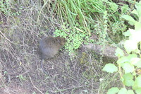 Canon EOS 5D Mark II, 2018:02:25 09:43:00 -- 1/50 sec, f/8.0.  No Flash, Compulsory.4080x2720 