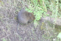 Canon EOS 5D Mark II, 2018:02:25 09:43:07 -- 1/40 sec, f/8.0.  No Flash, Compulsory.4080x2720 