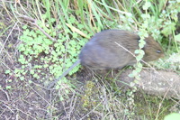 Canon EOS 5D Mark II, 2018:02:25 09:43:10 -- 1/40 sec, f/8.0.  No Flash, Compulsory.4080x2720 