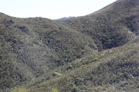 Canon EOS 5D Mark II, 2018:02:25 09:59:42 -- 1/125 sec, f/9.0.  No Flash, Compulsory.4080x2720 