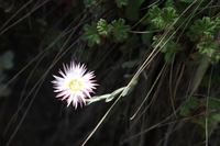 Canon EOS 5D Mark II, 2018:02:25 10:17:09 -- 1/100 sec, f/6.3.  No Flash, Compulsory.4080x2720 