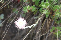 Canon EOS 5D Mark II, 2018:02:25 10:17:09 -- 1/100 sec, f/6.3.  No Flash, Compulsory.4080x2720 