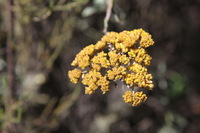 Canon EOS 5D Mark II, 2018:02:25 10:18:59 -- 1/200 sec, f/6.3.  No Flash, Compulsory.4080x2720 