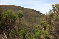 Canon EOS 5D Mark II, 2018:02:25 10:24:19 -- 1/60 sec, f/11.0.  No Flash, Compulsory.4080x2720 