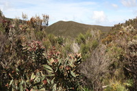 Canon EOS 5D Mark II, 2018:02:25 10:36:20 -- 1/80 sec, f/11.0.  No Flash, Compulsory.4080x2720 