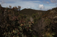 Canon EOS 5D Mark II, 2018:02:25 10:36:21 -- 1/250 sec, f/11.0.  No Flash, Compulsory.4080x2720 