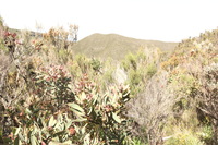 Canon EOS 5D Mark II, 2018:02:25 10:36:21 -- 1/40 sec, f/11.0.  No Flash, Compulsory.4080x2720 