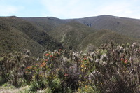 Canon EOS 5D Mark II, 2018:02:25 10:37:24 -- 1/50 sec, f/11.0.  No Flash, Compulsory.4080x2720 